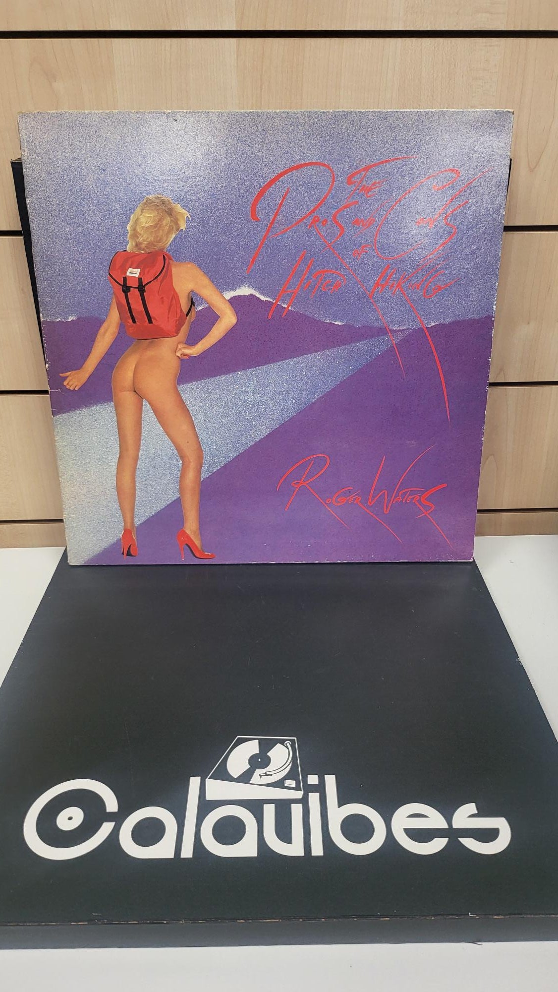 Lp Raro - Roger Waters - Pros and Cons Of Hitch Hiking