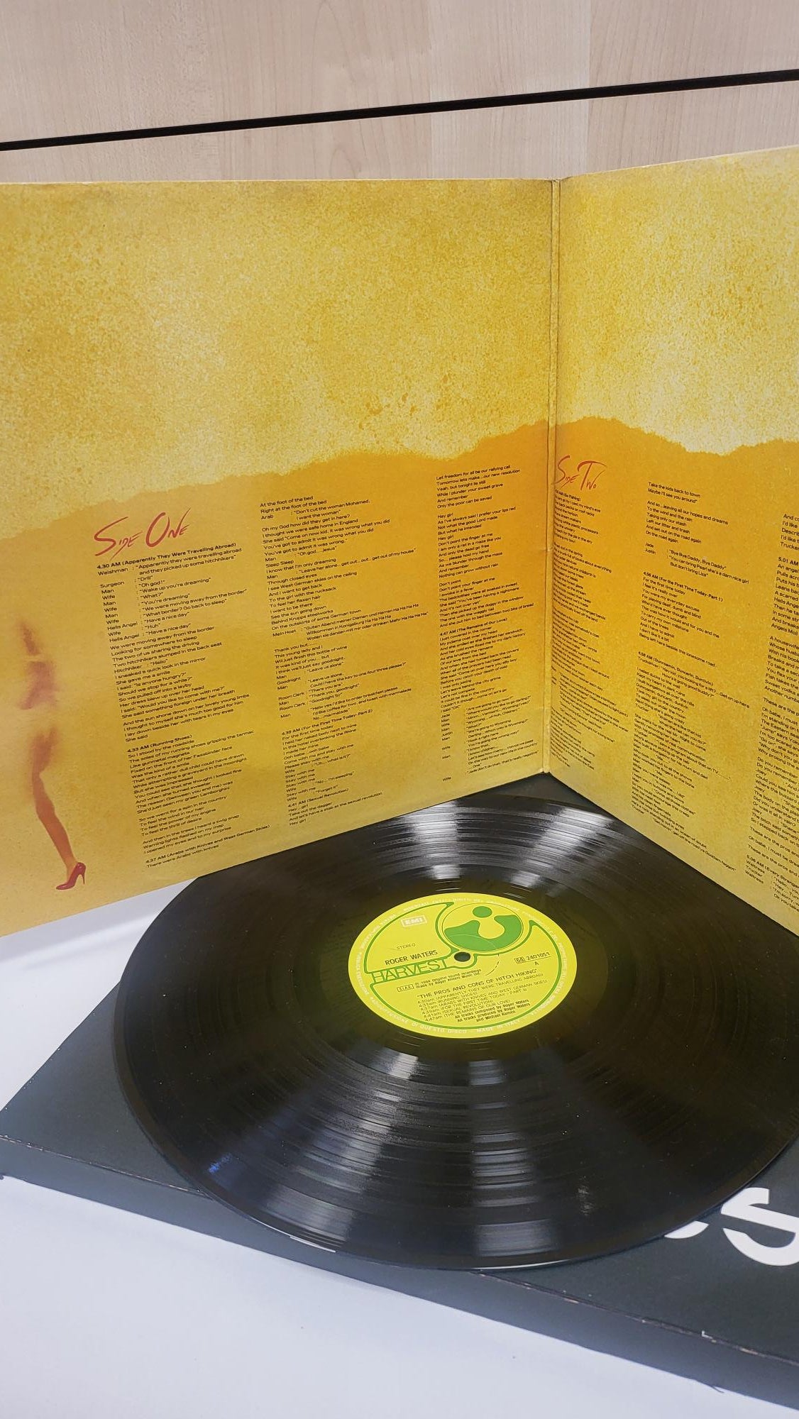 Lp Raro - Roger Waters - Pros and Cons Of Hitch Hiking