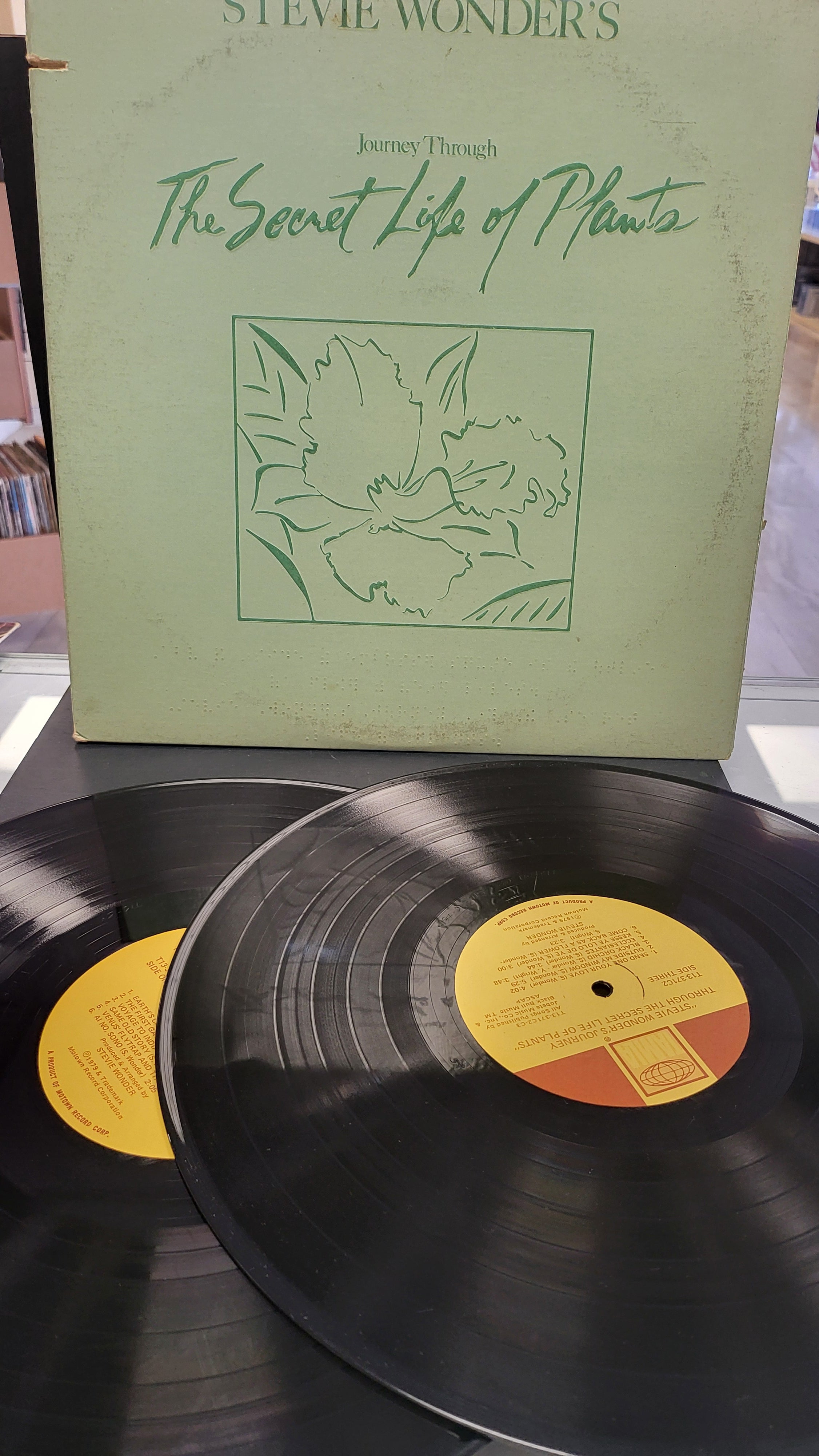 Lp Raro - Stevie Wonder - The Secret Life Of Plants