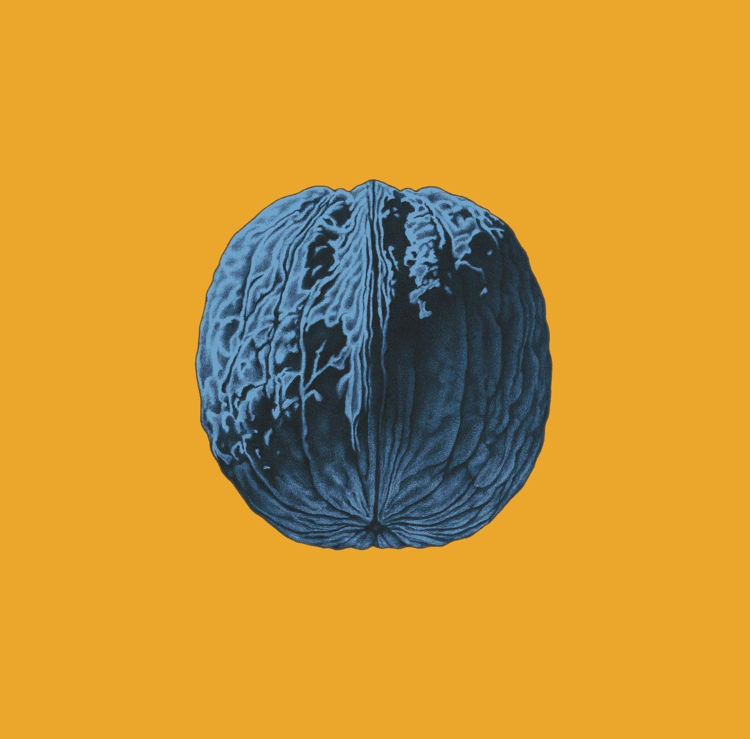 Brunori Sas  -  L'Albero Delle Noci Lp