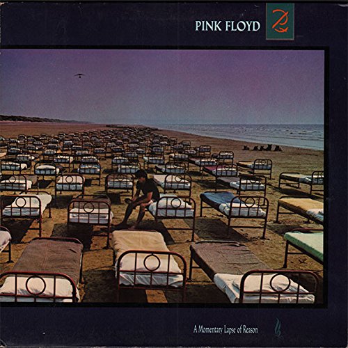 Momentary Lapse of Reason [Analog] [Copertina flessibile]