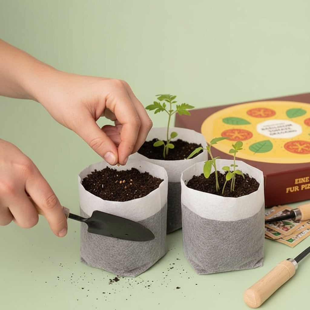Resetea - Set di Coltivazione Pizza