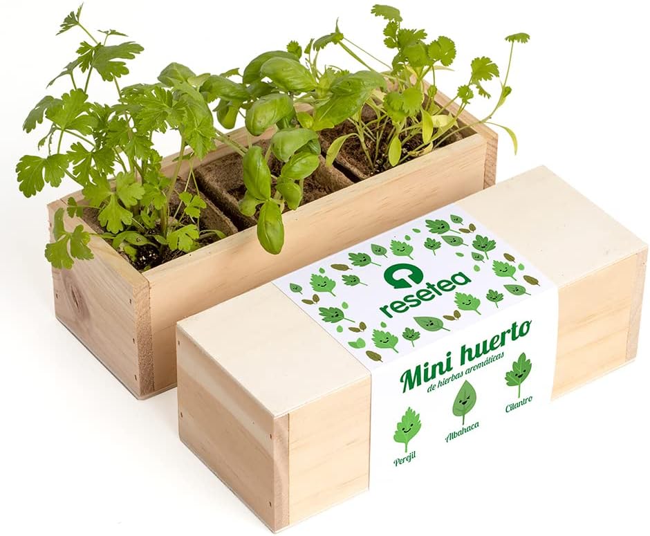 Resetea - Miniorto di Erbe Aromatiche