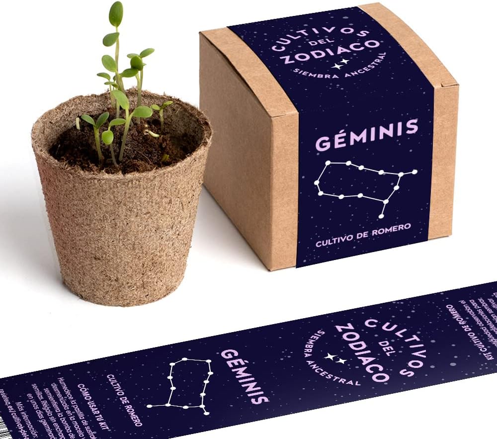 Resetea - Kit Coltivazione Rosmarino Gemelli