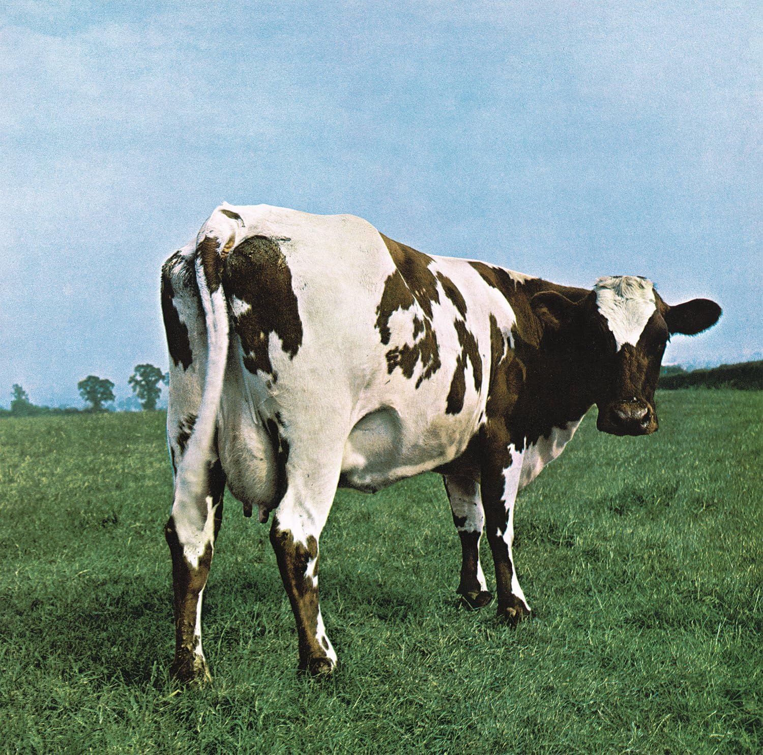 Pink Floyd -  Atom Heart Mother Lp