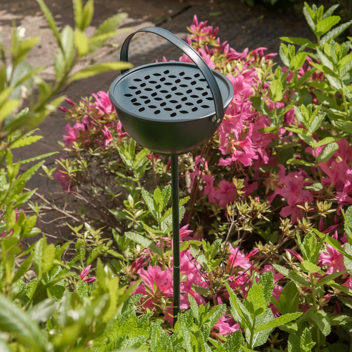 WD Lifestyle - Porta Zampirone Blu