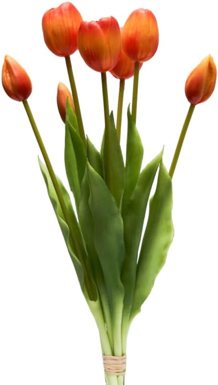 Henriette - Bouquette 7 Tulipani - D18782