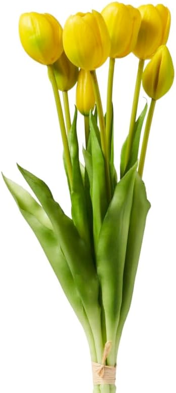 Henriette - Bouquette 7 Tulipani - D18784