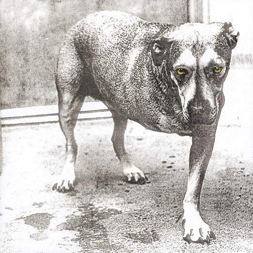 Alice in Chains - Alice in Chains 2LP